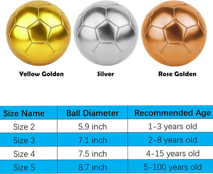 Soccer Ball Size 3 4 5 DIY Craft Boys Girls Adults Birthday Gift with Pump Needle Training Practice
